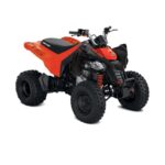 Can-am DS 250 2026