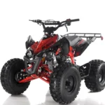 Apollo Blazer 9 Ultra Wide Youth ATV - 125cc, Race Style, Automatic Transmission with Reverse